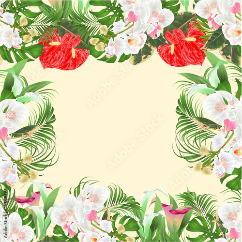 Wallpaper Mural Floral  frame  bouquet with tropical flowers  floral arrangement, with beautiful white orchids ,lili, palm,philodendron  vintage vector illustration  editable hand draw Torontodigital.ca