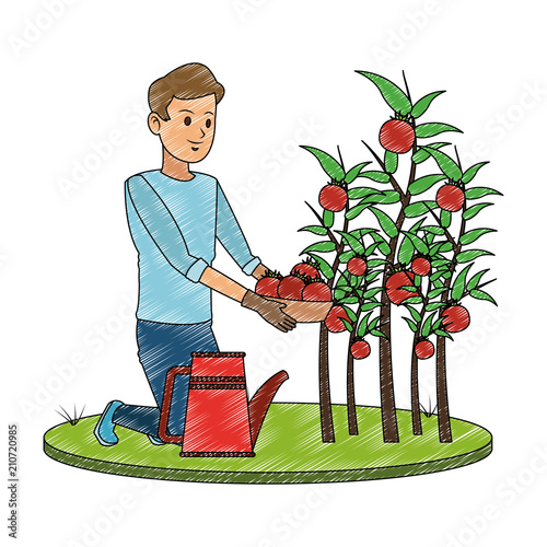 Man with tomato harvest vector illustration graphic design
