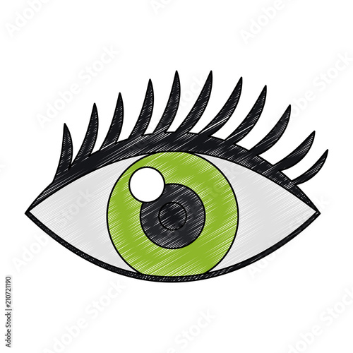 Human eye isolated vector illustration graphic design