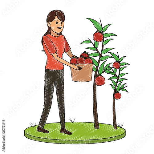 Woman with tomatos harvest vector illustration graphic design