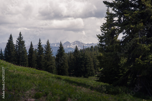 The Gore Mountain Range seen through trees at Vail, Colorado. 