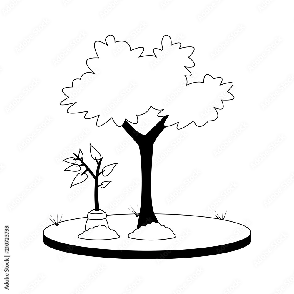 Tree nature plant vector illustration graphic design Tree nature plant vector illustration graphic design