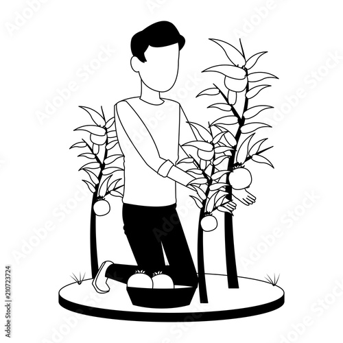 Man with tomatos on basket vector illustration graphic design