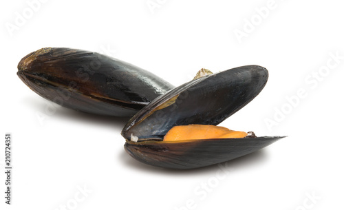 Wallpaper Mural mussels isolated Torontodigital.ca