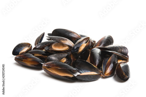 mussels isolated