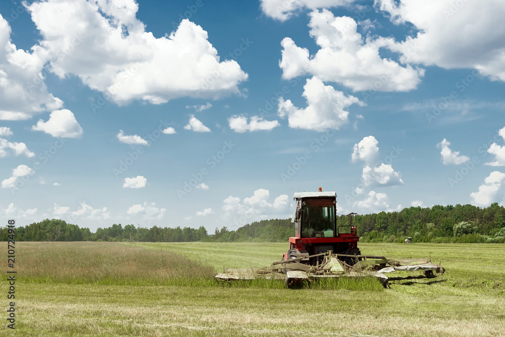 Fototapeta premium Agricultural machinery, harvester mowing grass in a field against a blue sky. Hay harvesting, grass harvesting. Season harvesting, grass, agricultural land.