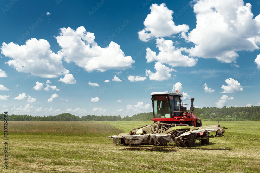 Fototapeta premium Agricultural machinery, harvester mowing grass in a field against a blue sky. Hay harvesting, grass harvesting. Season harvesting, grass, agricultural land.