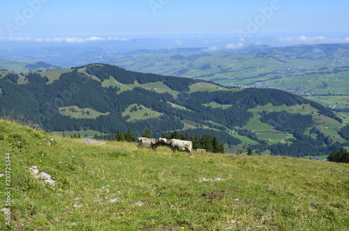 Switzerland Mountains in Spring Appenzell