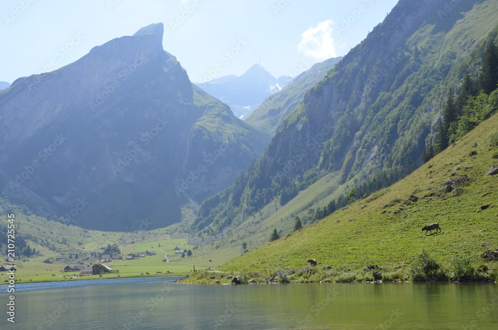 Fototapeta premium Switzerland Mountains in Spring Appenzell
