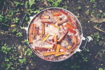 Dyeing process of natural dye