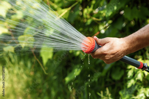 Men's hand with garden hose watering plants, gardening concept. Hand garden hose with water spray, watering flowers, close-up, water splashes, fresh green lawn. Copy space photo