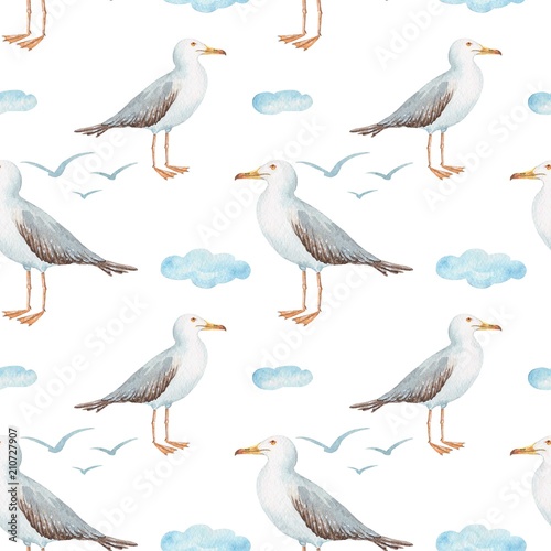 seamless pattern watercolor in marine style bird gull on white background with clouds
