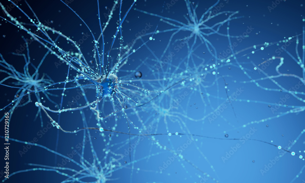 3d neuron cells 3d neuron cells