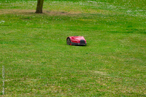 Robot lawn mower on summer meadow in the garden with copy space