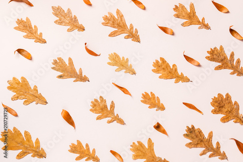 Creative layout of colorful autumn leaves. Flat lay.