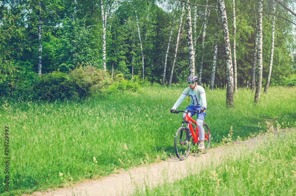 A cyclist in a helmet rides through the forest on a bicycle path