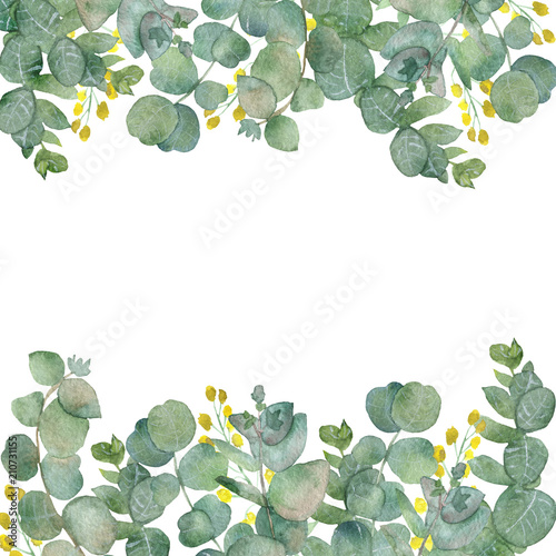 Bunch of Eucaliptus leaves isolated on purple Background. Florist.