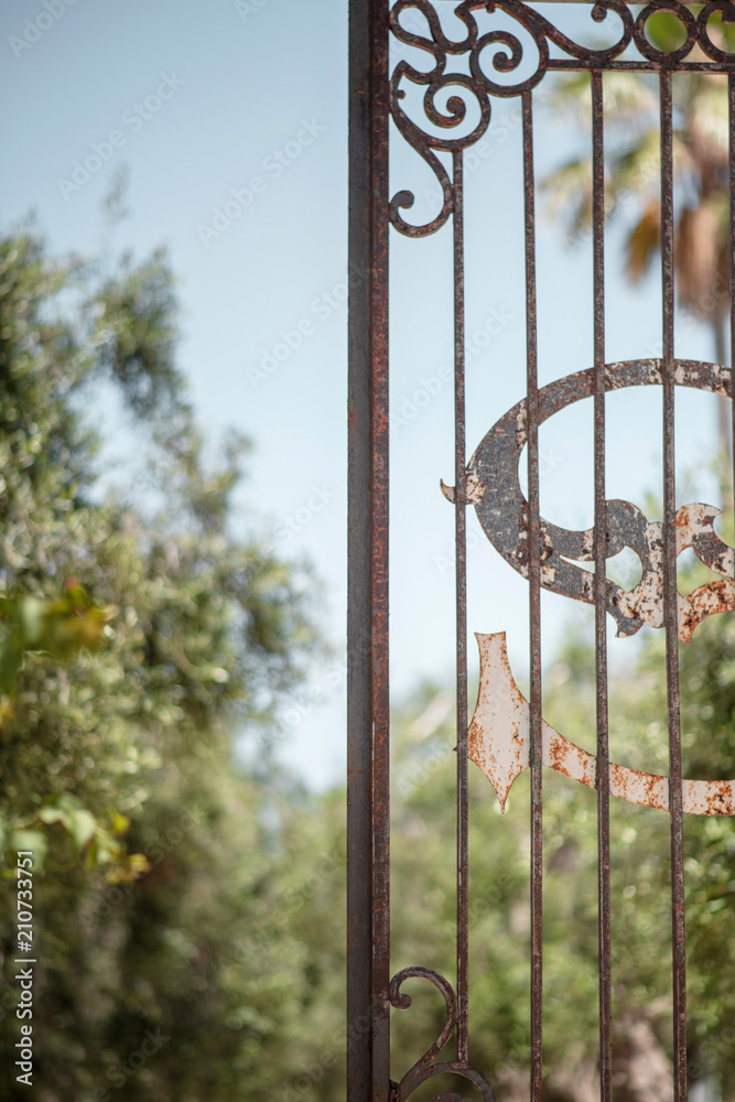 Half open ornate iron gate in garden. Half open ornate iron gate in garden.
