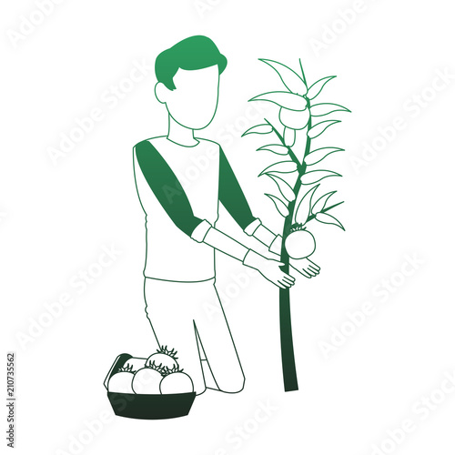 Man with tomato harvest vector illustration graphic design