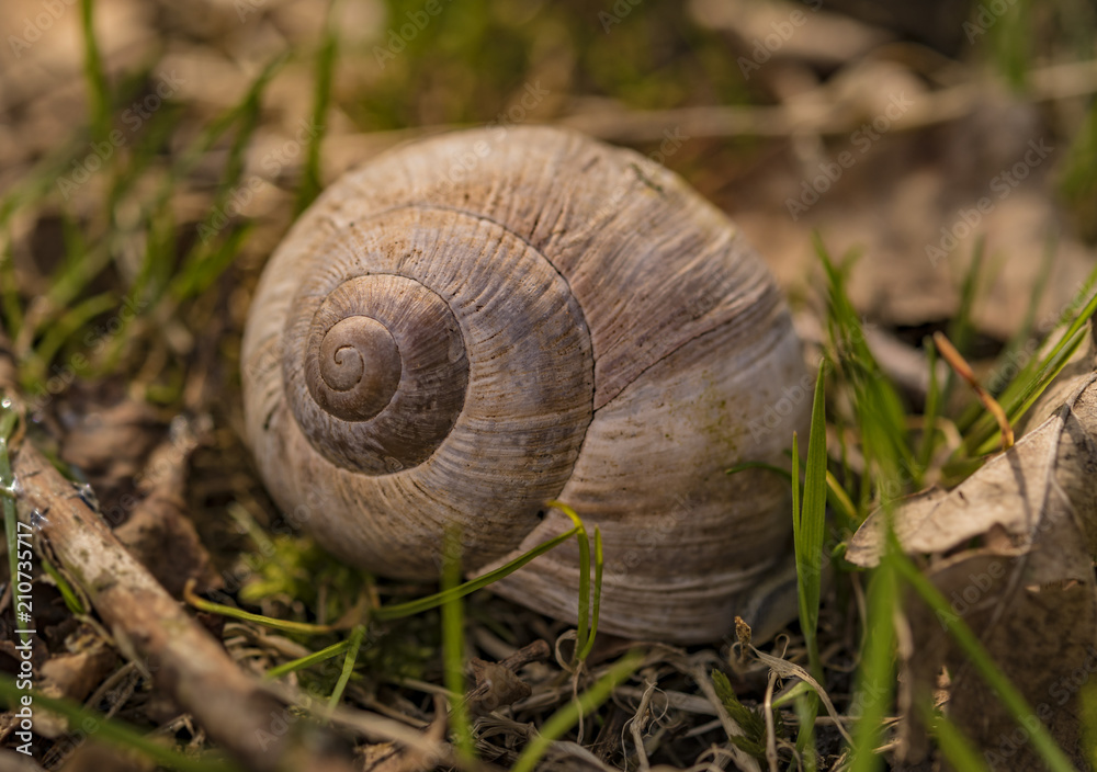 Spirala Spirala