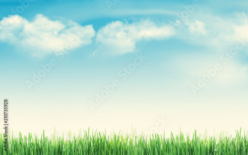 Abstract sunny summer background