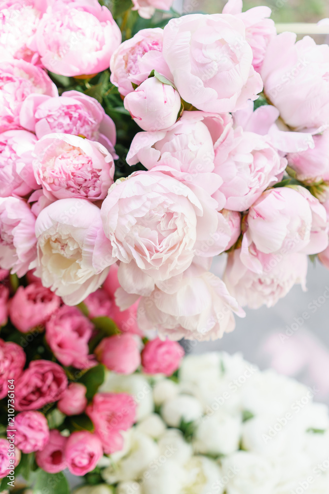 Fototapeta Piękne kwiaty w szklanym wazonie. Piękny bukiet różowych piwonii. Kompozycja kwiatowa, scena, światło dzienne. Tapeta