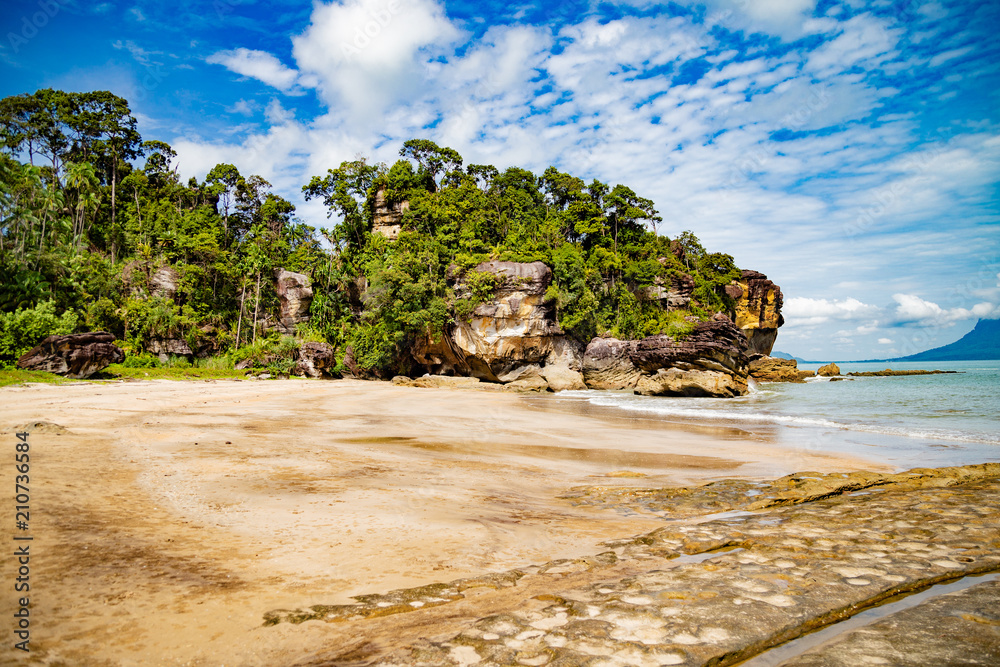 Fototapeta premium Bako National park