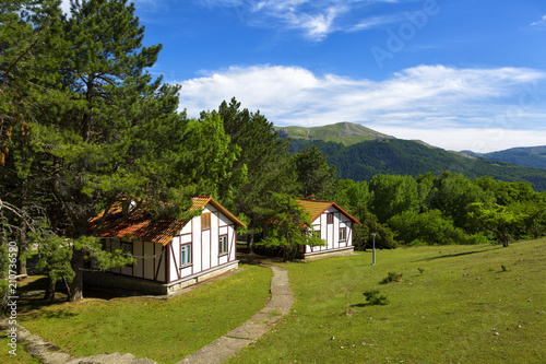 Beautiful cottages in the background of the mountains on a summer day