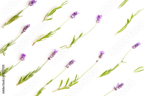 Fototapeta Naklejka Na Ścianę i Meble -  The lavender flowers.