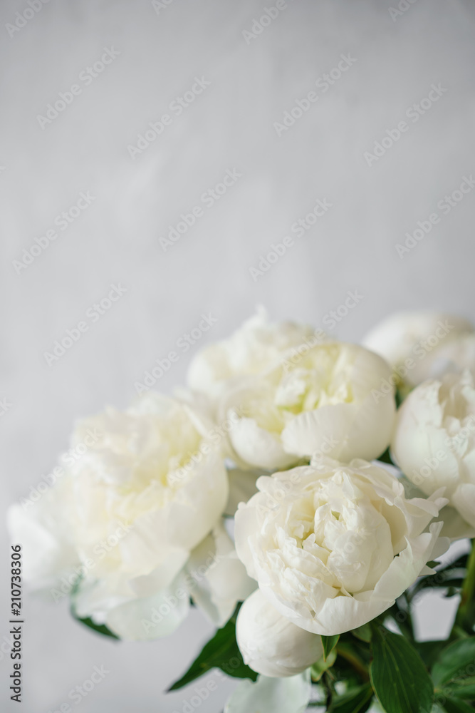 Lovely flowers in glass vase. Beautiful bouquet of white peonies . Floral composition, scene, daylight. Wallpaper Lovely flowers in glass vase. Beautiful bouquet of white peonies . Floral composition, scene, daylight. Wallpaper