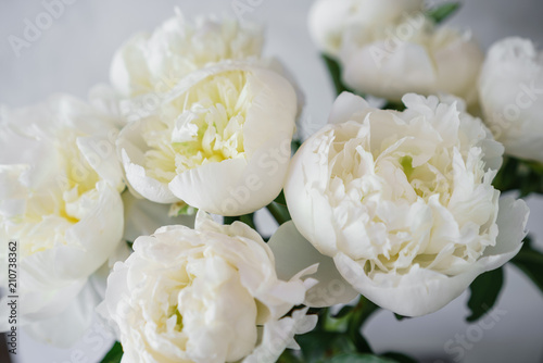 Fototapeta Naklejka Na Ścianę i Meble -  Lovely flowers in glass vase. Beautiful bouquet of white peonies . Floral composition, scene, daylight. Wallpaper