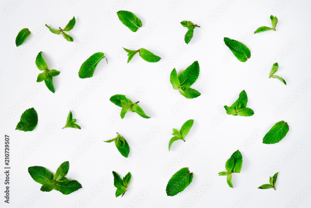 Fresh mint leaves pattern on white background Fresh mint leaves pattern on white background