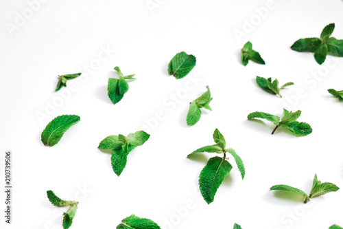 Fresh mint leaves pattern on white background