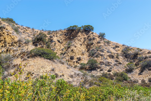 Erosion and new growth cover desert mountains in summer morning sun © Tim