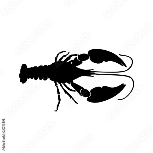 Vector illustration of black crawfish silhouette on white background. Cancer silhouette