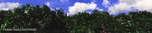 baobab grove. Panorama of trees against the sky with clouds.  3D rendering