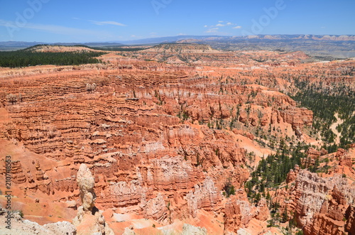 Desert landscape