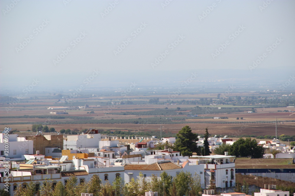 Spain - city, olive trees, landscape, castle, palm trees