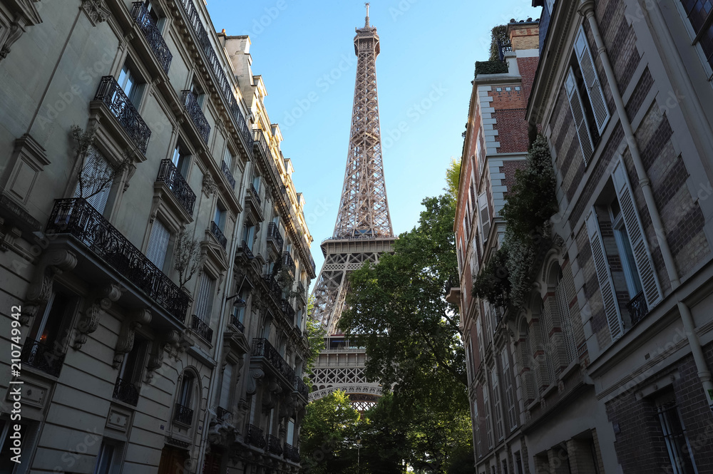 The Eiffel tower is the most popular travel place and global cultural icon of the France and the world.