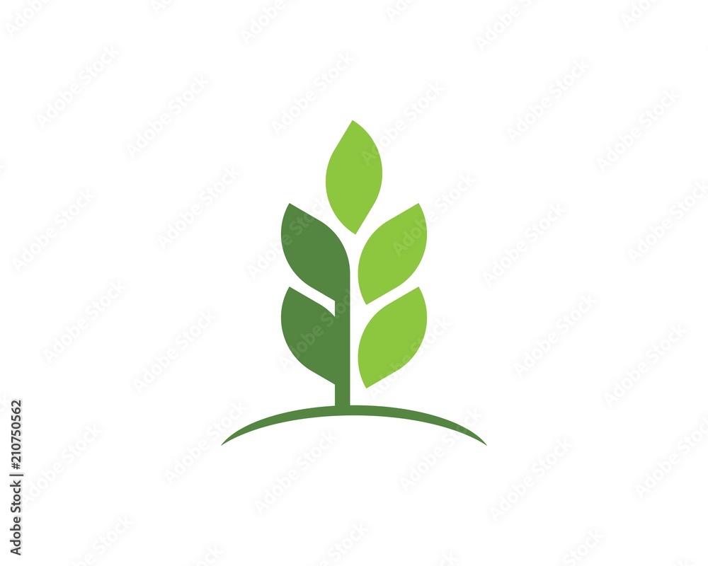 green leaf ecology nature element green leaf ecology nature element