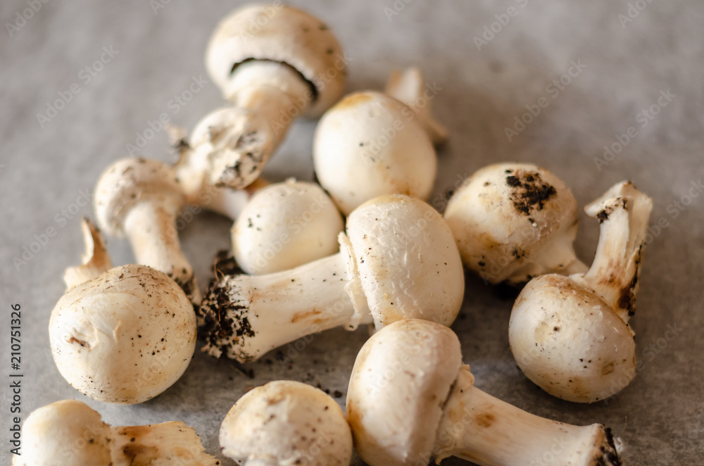 freshly harvested dirty mushrooms spread on paper, raw and healthy vegetables freshly harvested dirty mushrooms spread on paper, raw and healthy vegetables
