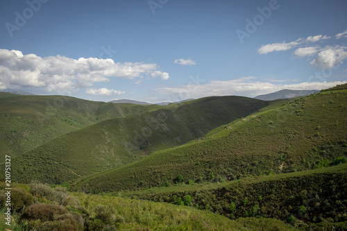 Montanha verde