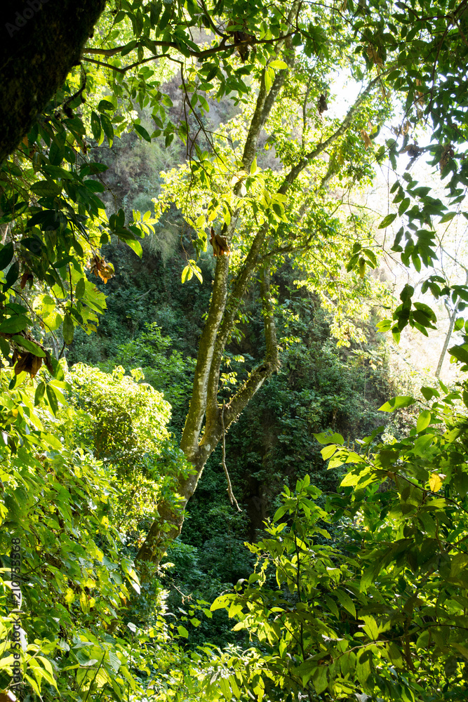 Obraz premium la maria