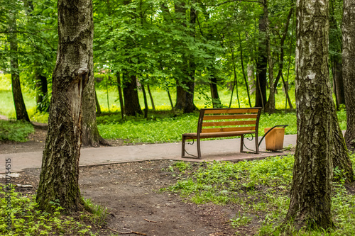 summer outdoor park nature environment with empty concrete road and wooden bench with nobody