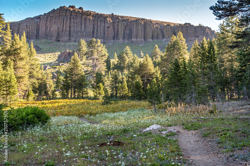 Early Morning On The Path to Wheeler Ridge on the Woodchuck Basin Trail, Calaveras County, California