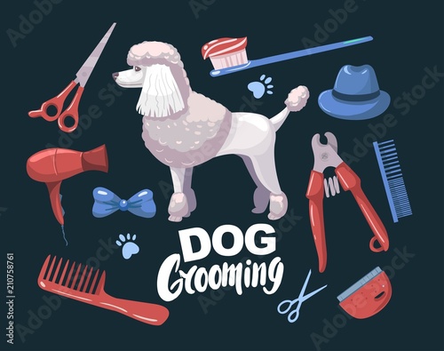 Dog grooming