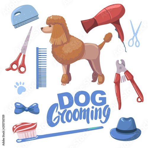 Dog grooming