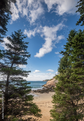 Acadia National Park © Harry Collins