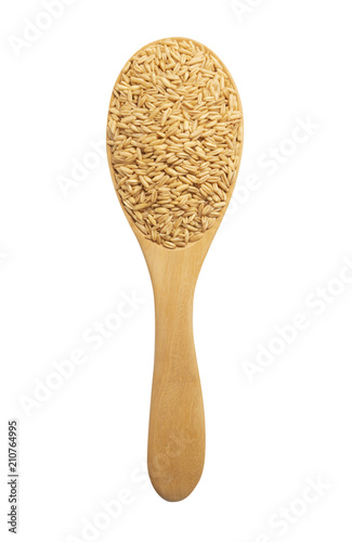 oats grain with wooden spoon isolated on white background