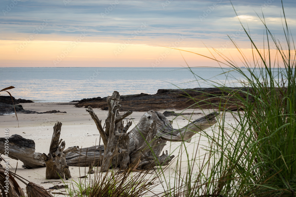 Driftwood sunrise in North Florida